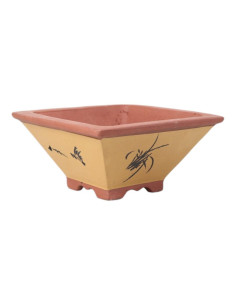 Pot of Bonsai Square 30*14 cm with Designs Without Glazed - Yxing 2