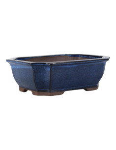 Maceta de Bonsái Rectangular 30,5*24*10 cm Azul – Yixing 2