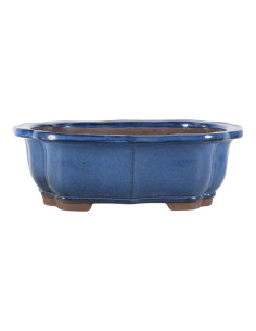 Maceta de Bonsai Oval 31*25*10 cm Azul – Yixing