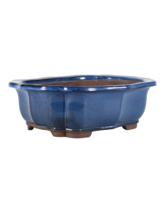 Pot de bonsaï oval 31*25*10 cm bleu – Yixing 2