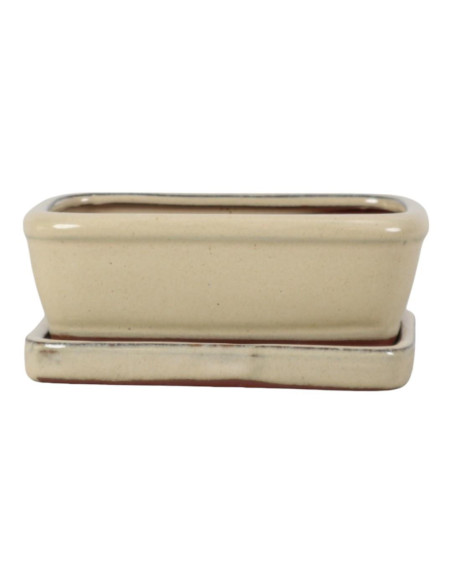 Pot de Bonsai Rectangular + Saucer 15*12*5,5 cm Cream - Yixing