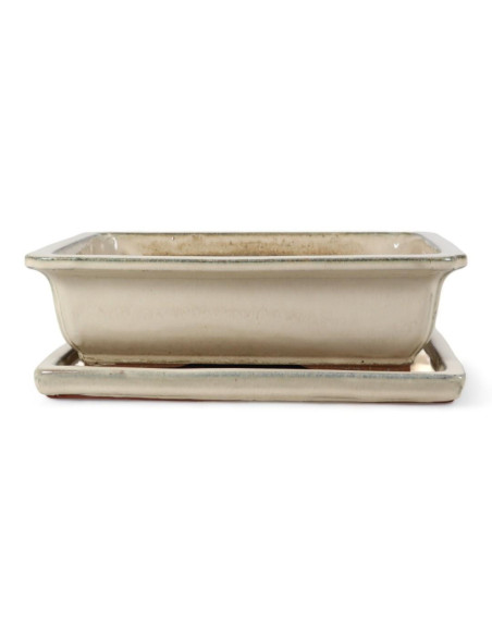 Vaso de Bonsai Rectangular + Prato 35*27*10 cm Creme - Yixing