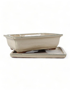 Vaso di Bonsai Rettangolare + Piatto 35*27*10 cm Crema - Yixing 2