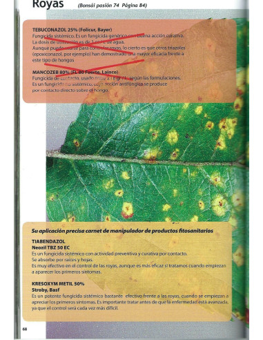 Libro - Bonsái Pasión - Plagas y Enfermedades - Actualización