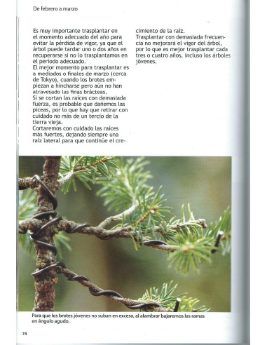 Buch - Bonsai Leidenschaft - Jährliche Arbeiten (1) von Dezember bis April