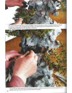 Book - Bonsai Passion - Transplanting (3rd part) 2