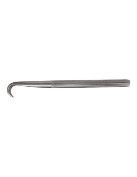 Chisel de Bonsai - Curvo 195 mm – Inox Goshin