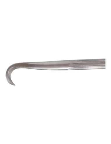 Chisel de Bonsai - Curvo 195 mm – Inox Goshin