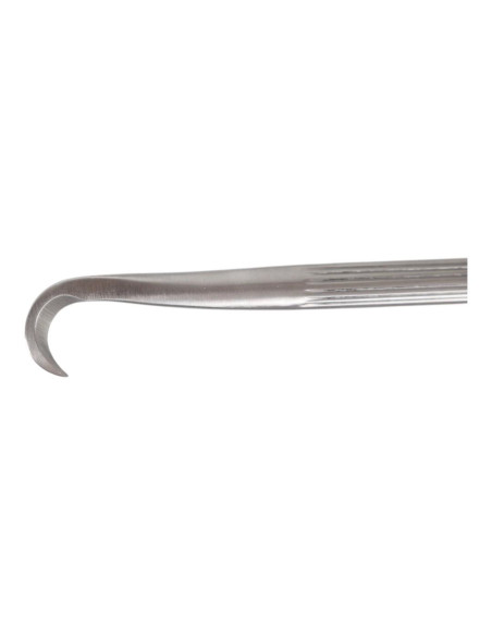 Cincel de Bonsai - Curvo 195 mm – Acero inoxidable Goshin