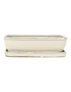 Vaso di Bonsai Rettangolare 20*15*5,5 cm Crema - Yixing