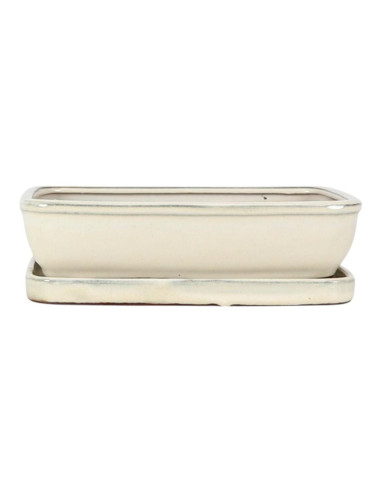 Vaso di Bonsai Rettangolare 20*15*5,5 cm Crema - Yixing