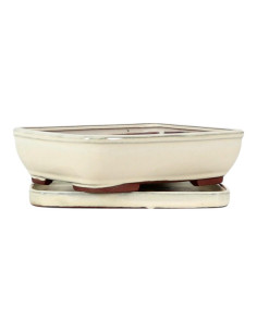 Rechteckiger Bonsai-Topf 20*15*5,5 cm Creme - Yixing 2