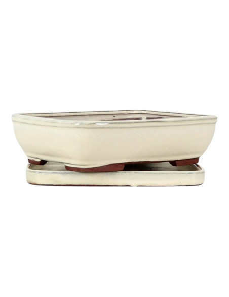 Vaso de Bonsai Rectangular 20*15*5,5 cm Creme - Yixing