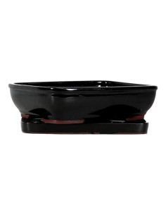 Pot of Bonsai Rectangular + Saucer 20*15*5.5 cm Black - Yixing 2