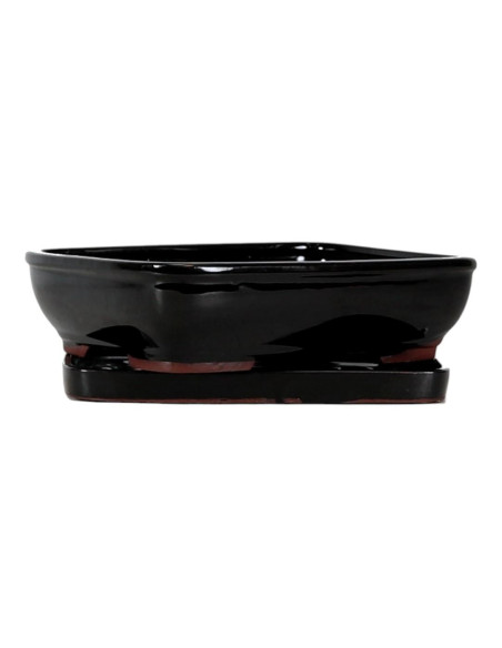 Vaso di Bonsai Rettangolare + Prato 20*15*5,5 cm Nero - Yixing