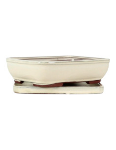 Vaso di Bonsai Rettangolare + Piattino 25*19,5*6,5 cm Crema - Yixing 2