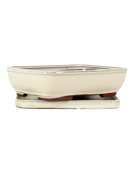 Vase de Bonsai Rectangular + Plat 25*19,5*6,5 cm Crème - Yixing