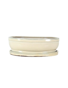 Vaso da Bonsai Ovale + Piatto 30,5*24,5*10 cm Crema - Yixing