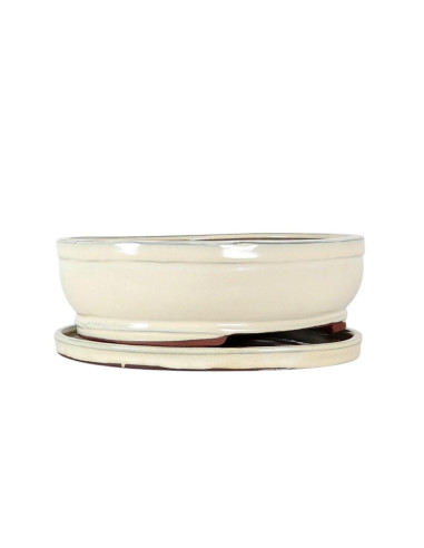 Vaso di Bonsai Ovale + Prato 30,5*24,5*10 cm Crema - Yixing