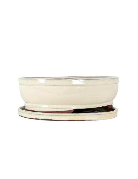 Vaso di Bonsai Ovale + Prato 30,5*24,5*10 cm Crema - Yixing