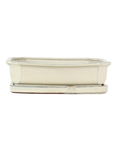 Rechteckiger Bonsai-Topf + Untersetzer 31*24,5*8 cm Creme - Yixing