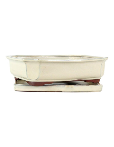 Vaso di Bonsai Rettangolare + Piatto 31*24,5*8 cm Crema - Yixing