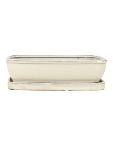 Vaso di Bonsai Rettangolare + Piattino 29,5*24,5*8 cm Crema - Yixing