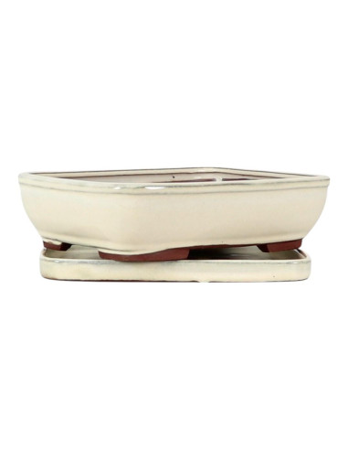 Vaso di Bonsai Rettangolare + Piattino 29,5*24,5*8 cm Crema - Yixing