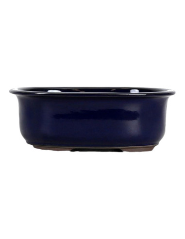 Pot by Bonsai Oval 23*19*8 cm Blue - Japan | Luso Bonsai