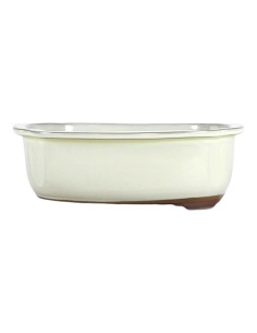 Maceta de Bonsái Ovalada 31*26,5*8,5 cm Crema - Japón