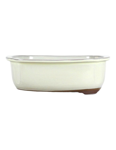 Vaso da Bonsai Ovale 31*26,5*8,5 cm Crema - Giappone