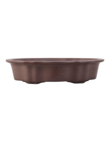 Pot by Bonsai Oval 25,5*17*5,5 cm Glazed - Yixing | Luso Bonsai