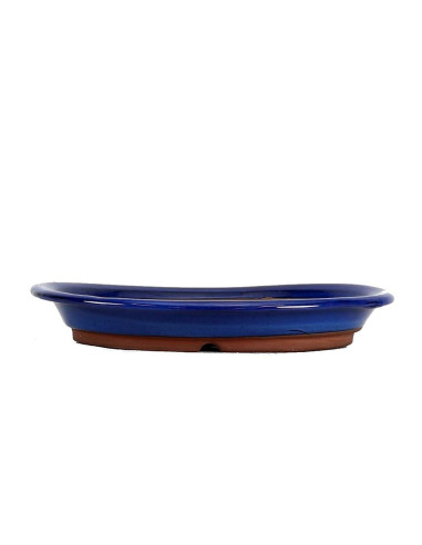 Pot by Bonsai Oval 34,5*26*5 cm Blue - Japan | Luso Bonsai