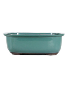 Maceta de Bonsái Ovalada 28*24*8,5 cm Verde - Japón