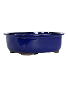 Vase à bonsaï ovale 31*26,5*8,5 cm bleu - Japon 2