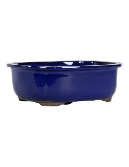 Oval Bonsai Pot 31*26.5*8.5 cm Blue - Japan