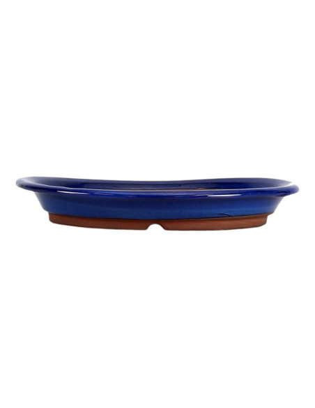 Vaso da Bonsai Ovale 32*24,5*4,5 cm Blu - Giappone