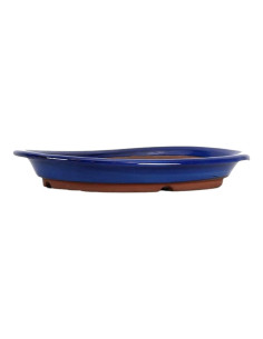 Maceta de Bonsái Ovalada 32*24,5*4,5 cm Azul - Japón 2