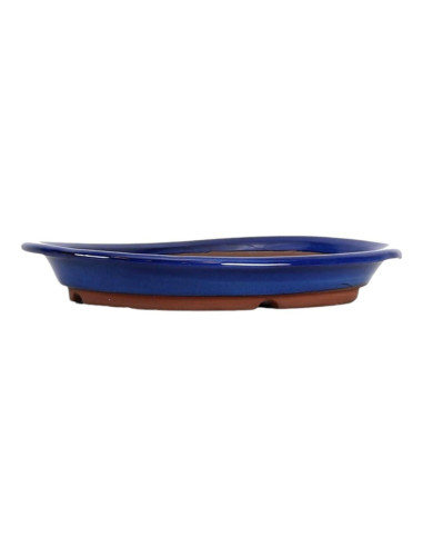 Vaso de Bonsai Oval 32*24,5*4,5 cm Azul - Japão