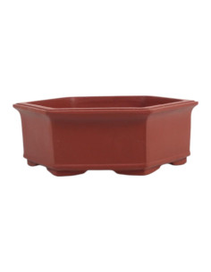 Vaso di Bonsai Esagonale 18*20,5*6,5 cm Senza Smalto - Yixing