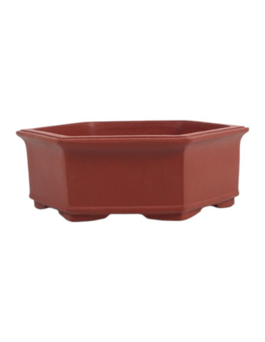 Vaso de Bonsai Hexagono 18*20,5*6,5 cm Sem Esmalte - Yixing