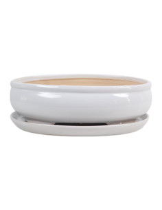 Vaso da Bonsai Ovale + Piatto 29*22*8 cm Bianco - Yixing