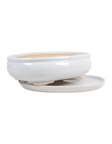 Vaso de Bonsai Oval + Prato 29*22*8 cm Branco - Yixing