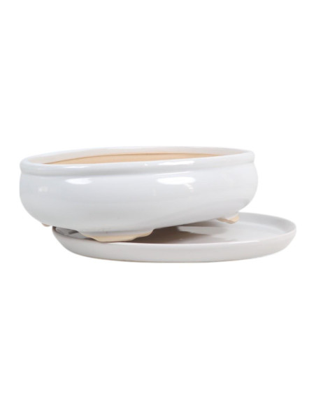 Vaso de Bonsai Oval + Prato 29*22*8 cm Branco - Yixing