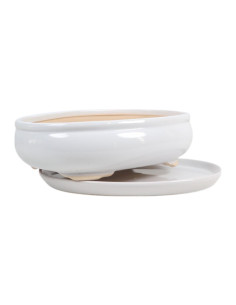 Vaso de Bonsai Oval + Prato 25*20*7 cm Branco - Yixing 2