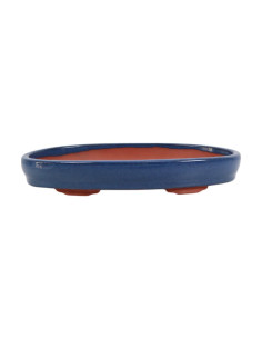 Maceta de Bonsái Ovalada 31*21*4,5 cm Azul – Yixing