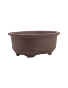 Maceta de Bonsái Ovalada 15,5*12*6,5 cm Sin Esmalte - Japón 2