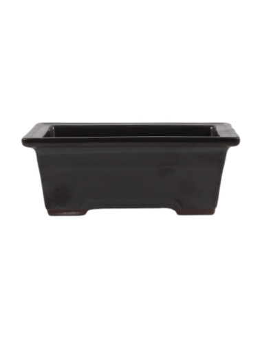 Maceta de Bonsái Rectangular 21,5*17,5*7,5 cm Negro - Japón