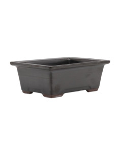 Rechteckiger Bonsai-Topf 21,5*17,5*7,5 cm Schwarz - Japan 2