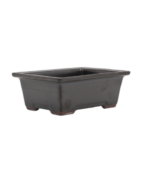 Maceta de Bonsái Rectangular 21,5*17,5*7,5 cm Negro - Japón